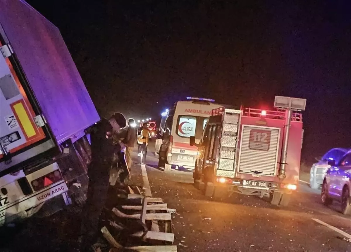 Mardin’de bariyerlere çarpan tırın şoförü yaralandı