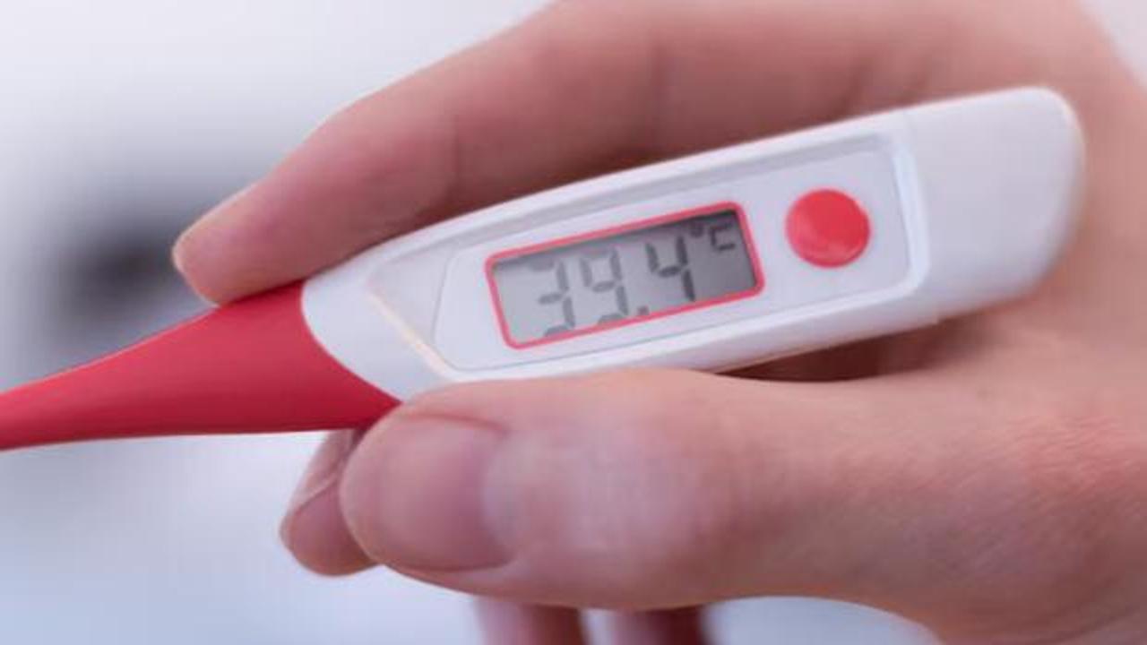 Bu belirtiler varsa dikkat: Acil götürün! Başı kedere sokuyor