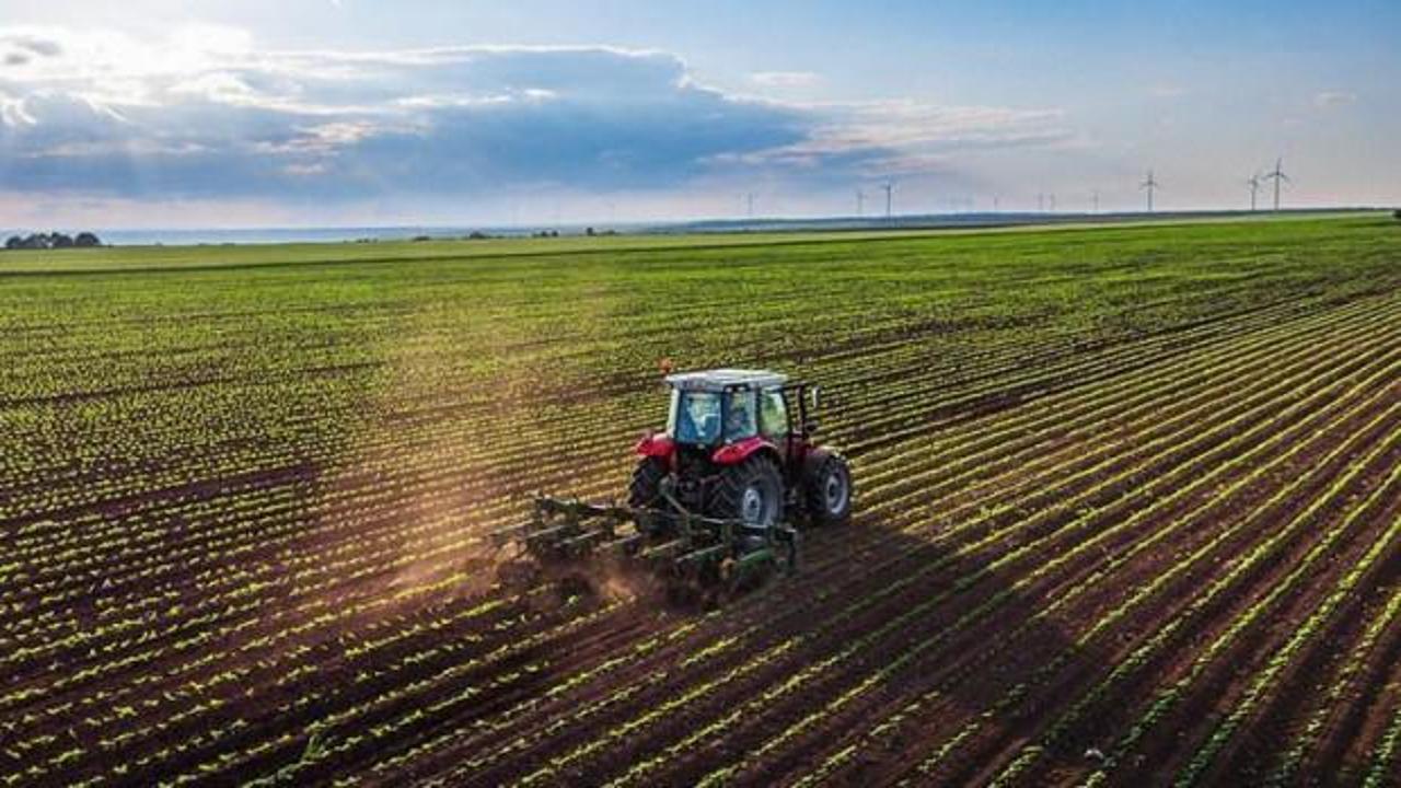 Çiftçi merakla bekliyordu! 12 milyar 311 milyon lira…